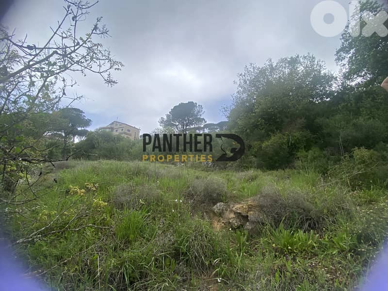 Prime Land for Sale in Aarabaniyeh - natural water spring Ref#BK133 1