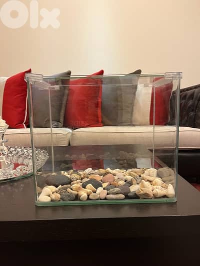 aquarium 5gallon