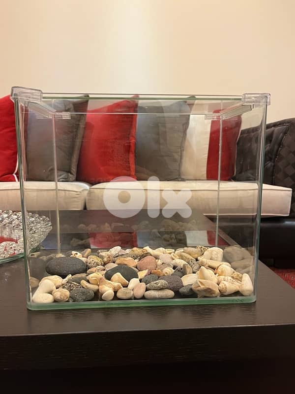 aquarium 5gallon 2