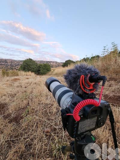 canon 7d mark 2 + lens 100-400mm