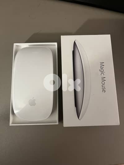 Apple Magic Mouse 2