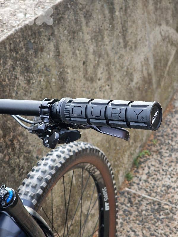 CANYON SPECTRAL 9.9 MTB L 7