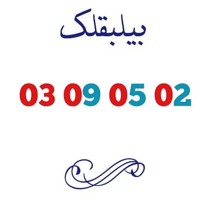 touch big number prepaid