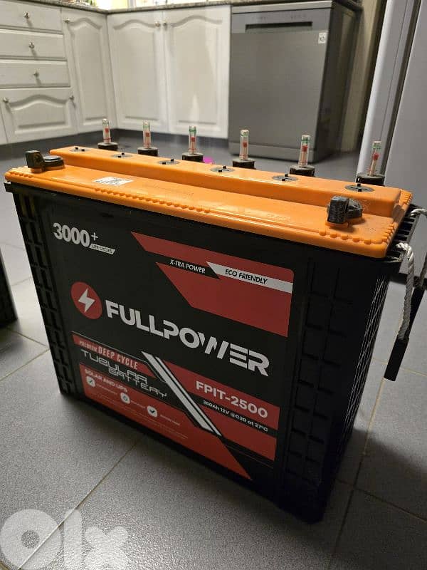 APS Inverter with 2 x 250Ah batteries 3