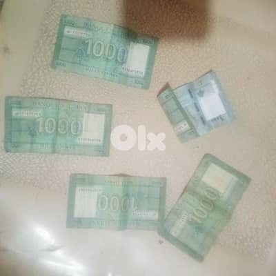 عاليه مجدل بعنا