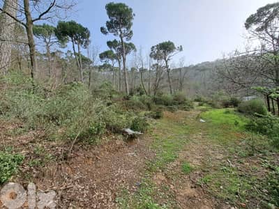 perfect 2500 sqm land for sale in Bekfaya