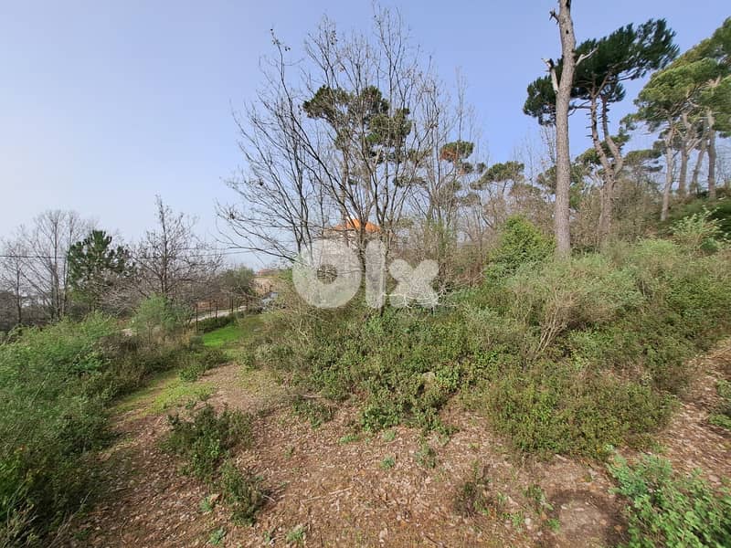 perfect 2500 sqm land for sale in Bekfaya 1