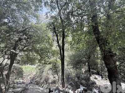 RWB218EG - Land for sale in Aannaya Jbeil
