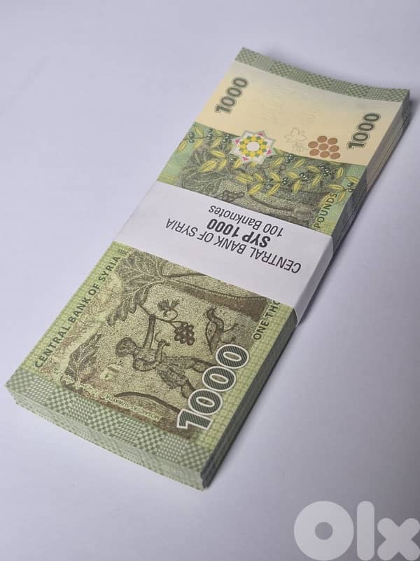 1000 SYP Bundle 2013 (unc) 1