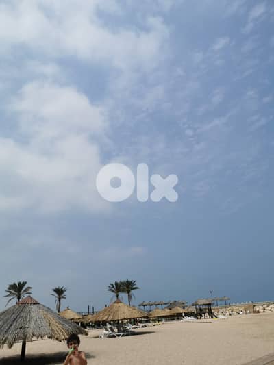 Access to Rimal for 1 person