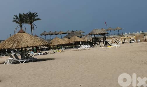 Access to Rimal for 1 person