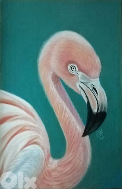 flamingo soft pastel painting لوحة فلامينغو رسم يد بالباستال