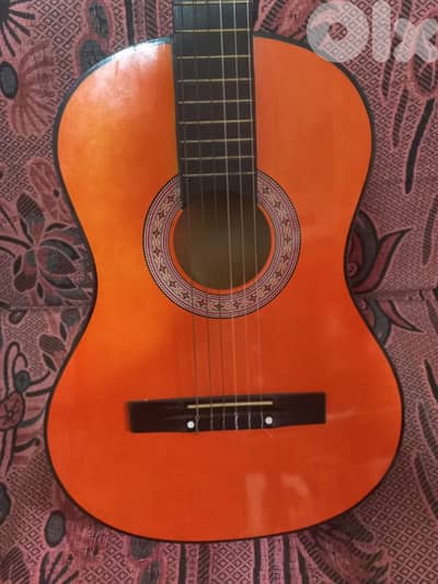 hoffman guitar