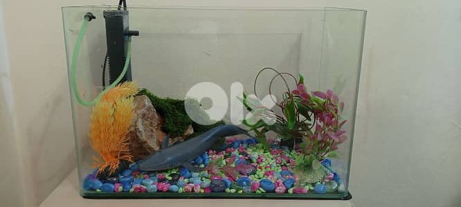 Fish aquarium 25 Liter