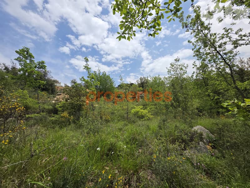 Astonishing Land for Sale in Bikfaya-Metn - CPSK75 1