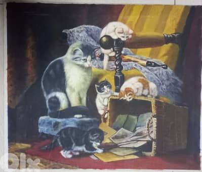cats print on canvas 50*60 cm