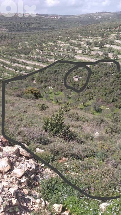 Land for Sale in Koura أرض للبيع في الكورة