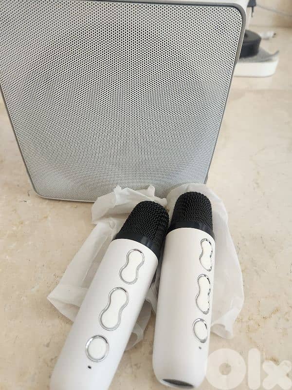 Mini speaker with two microphones 2