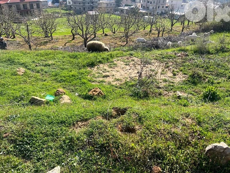 2200 sqm Land for sale in Hrajel 2