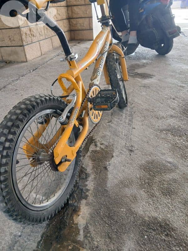 black horse bicycle 1