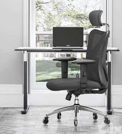 Sihoo M18 Ergonomic Office Chair with Soft Cushion & Spine Support