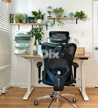 Sihoo M57 Ergonomic Office Chair with Breathable Mesh Cushion