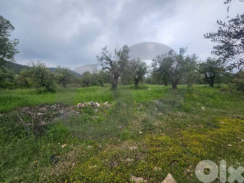 Directly on the Highway ,80 meter façade,Zgharta /زغرتا  REF#PC135599 2