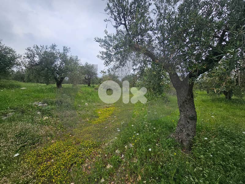 Directly on the Highway ,80 meter façade,Zgharta /زغرتا  REF#PC135599 3
