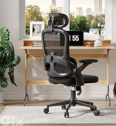 Sihoo M102C Lightweight Ergonomic Office Chair with Basic Support