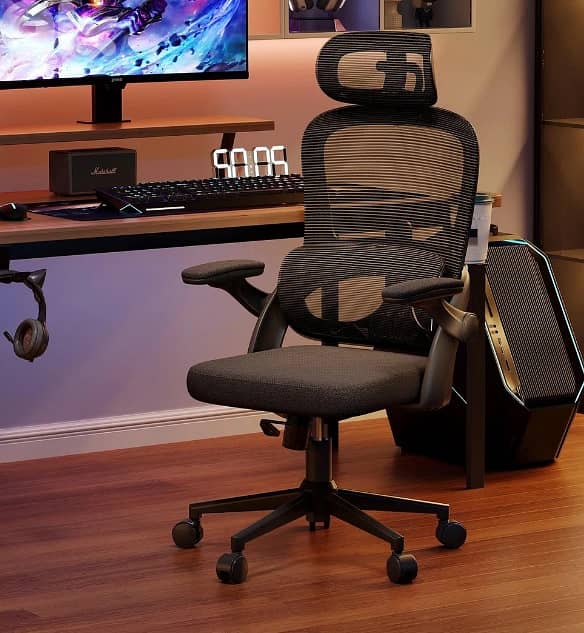 Sihoo M102C Lightweight Ergonomic Office Chair with Basic Support 2