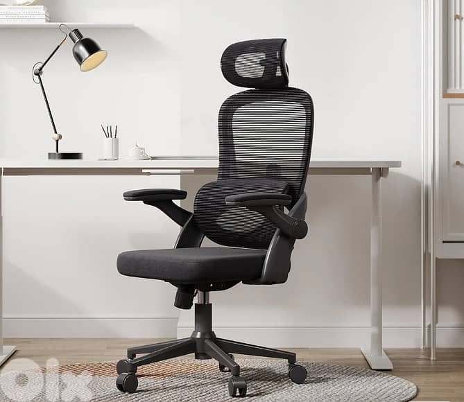 Sihoo M102C Lightweight Ergonomic Office Chair with Basic Support 3
