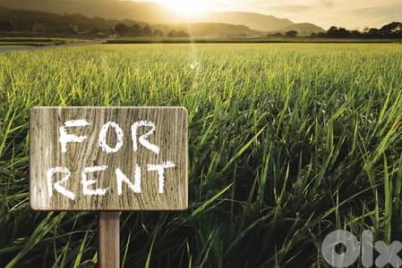 Land for Rent in Karantina أرض للإيجار في الكرنتينا