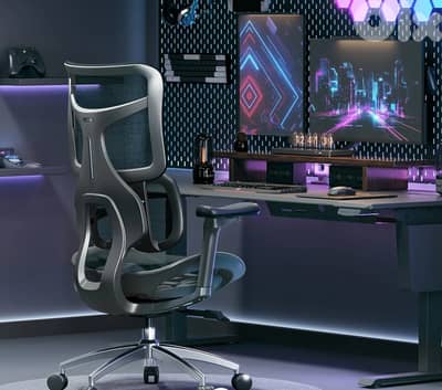 Sihoo Doro S100 Ergonomic Office Chair With Dual Dynamic Lumbar Suppor