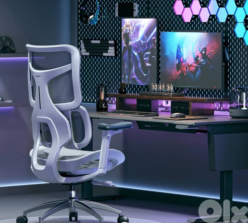 Sihoo Doro S100 Ergonomic Office Chair With Dual Dynamic Lumbar Suppor 1