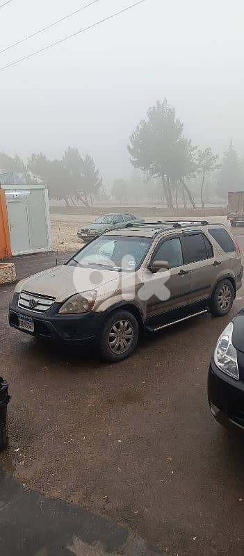 بيروت الملعب البلد