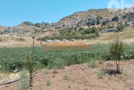 Land For Sale In Ehmej - CPJGK31