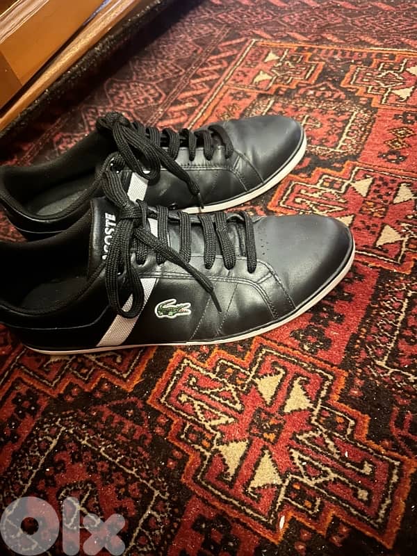 Lacoste Shoes 1