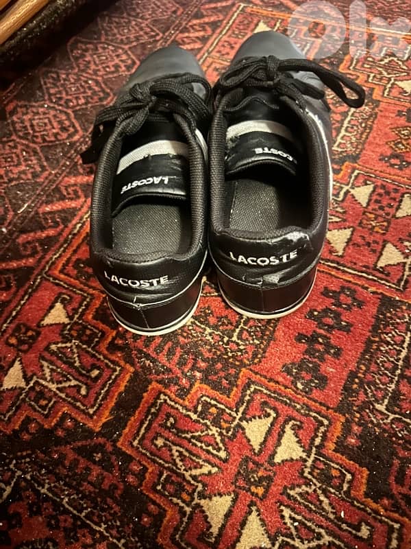 Lacoste Shoes 2