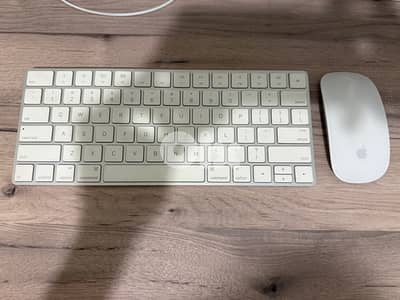 Apple Magic Mouse & Magic Keyboard Wireless