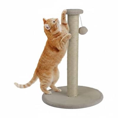 Zoofari Cat Scratching Tree 38 x 54 CM