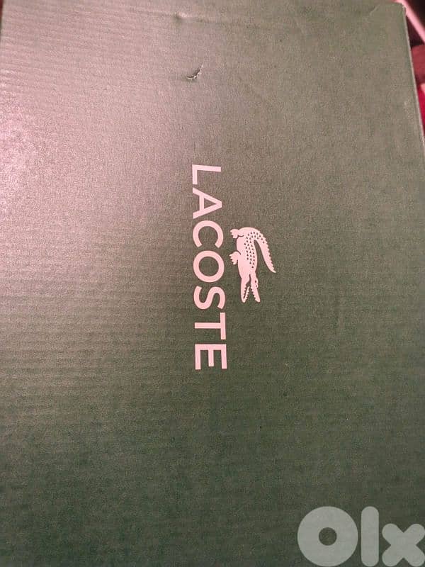 shoes lacoste 2