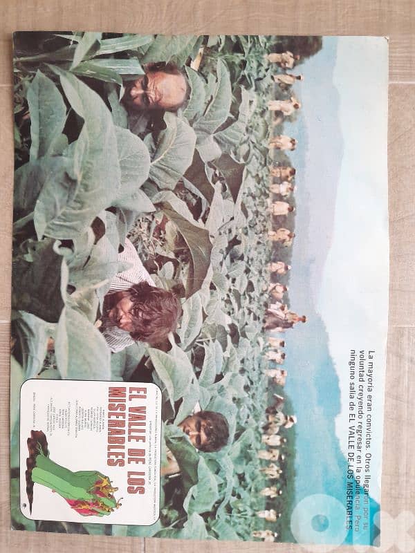 8 Spanish original movie poster 1975 "El valle de los miserables" 5