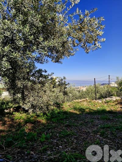 Land for sale in Hboub أرض للبيع في حبوب