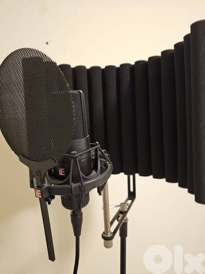 Microphone For Recording