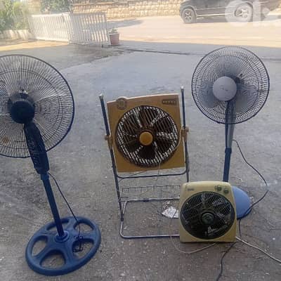 مرواح  جيدة مزرعه يشوع