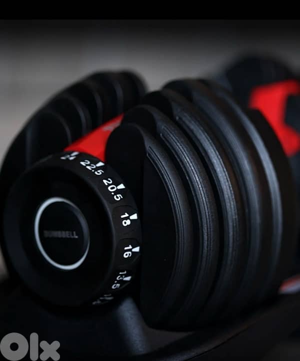 24KG adjustable dumbbells. 1