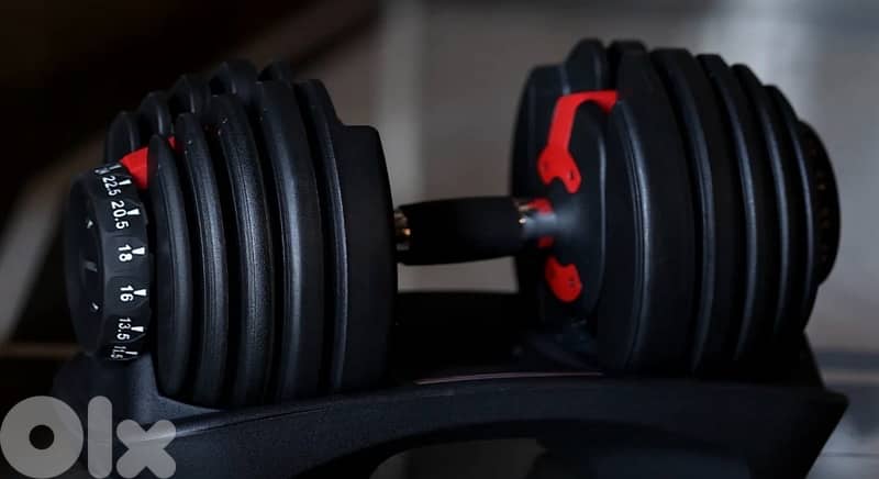 24KG adjustable dumbbells. 2