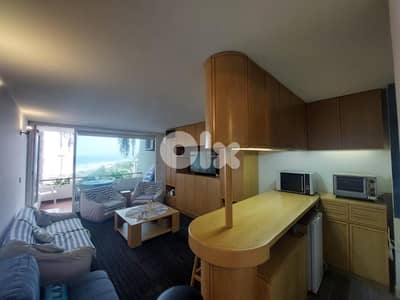 CHALET | SAFRAMARINE | FULLY FURNISHED, (JOU-206)