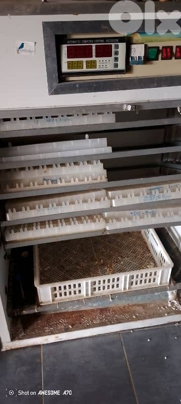 full automatic 880 eggs incubator 2