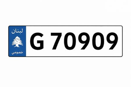 Special 5 Digits Car Plate Number